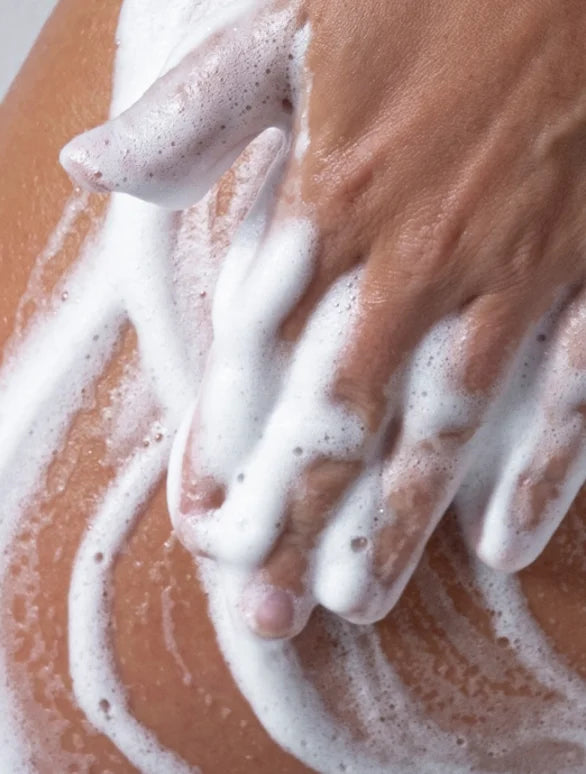 ++ Ginger & Smoky Cardamom (hand & body wash) - MiA y MiU