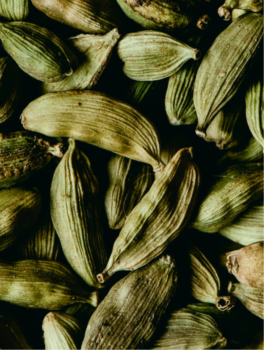 ++ Ginger &amp; Smoky Cardamom (hand &amp; body wash) - MiA y MiU
